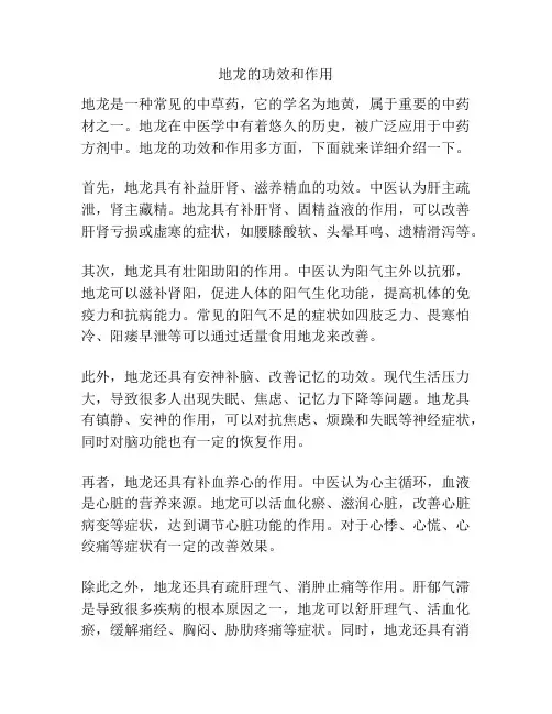 地龙的功效和作用