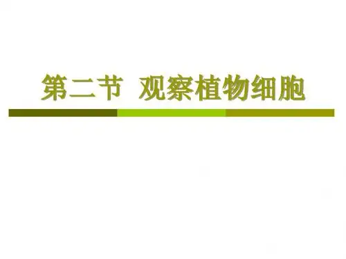 第二节观察植物细胞