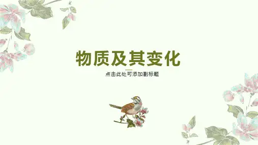 电解质的电离  PPT课件