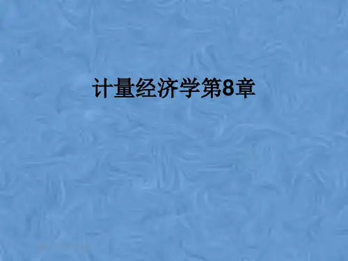 计量经济学第8章