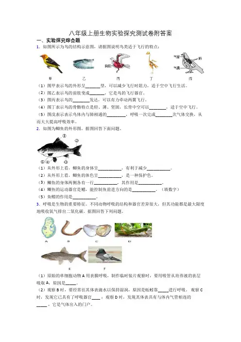 八年级上册生物实验探究测试卷附答案[002]