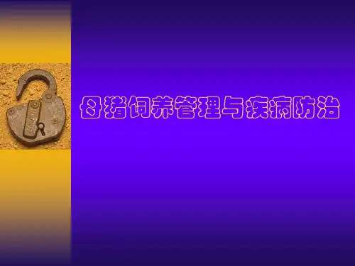 母猪的饲养管理与疾病防治