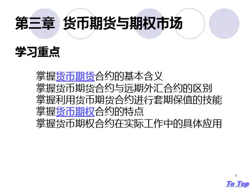 第三章--货币期货与期权市场PPT课件