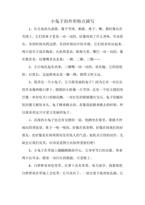 小兔子的外形特点描写