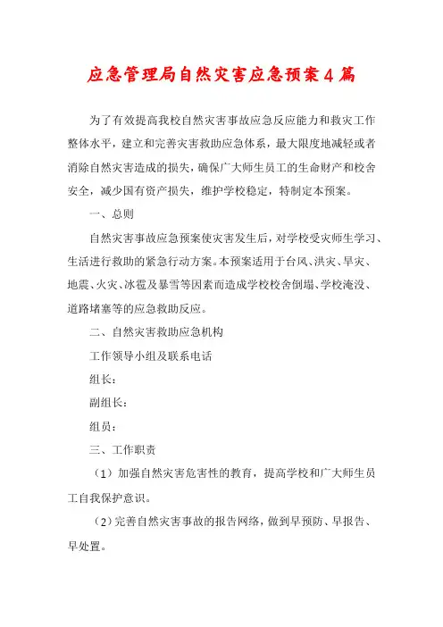 应急管理局自然灾害应急预案4篇