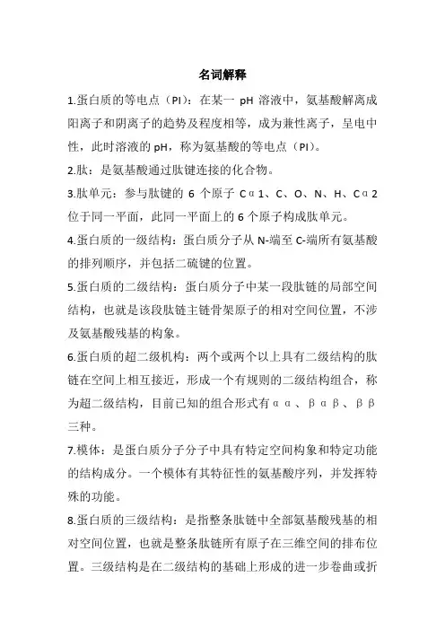 生物化学与分子生物学第八版蛋白质的结构与功能解析