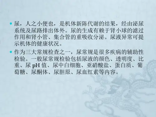 尿常规解析
