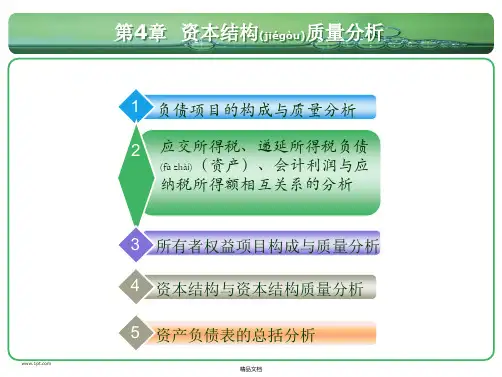 第四章资本结构质量分析