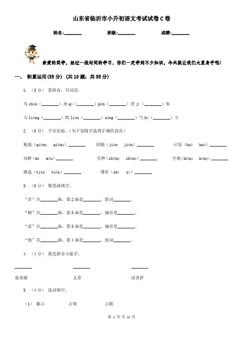 山东省临沂市小升初语文考试试卷C卷