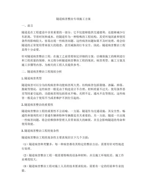 隧道病害整治专项施工方案