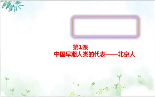 部编版教材-中国早期人类的代表——北京人优秀PPT1-PPT精美课件