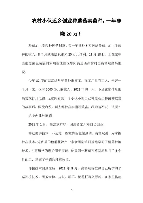 农村小伙返乡创业种蘑菇卖菌种,一年净赚20万!