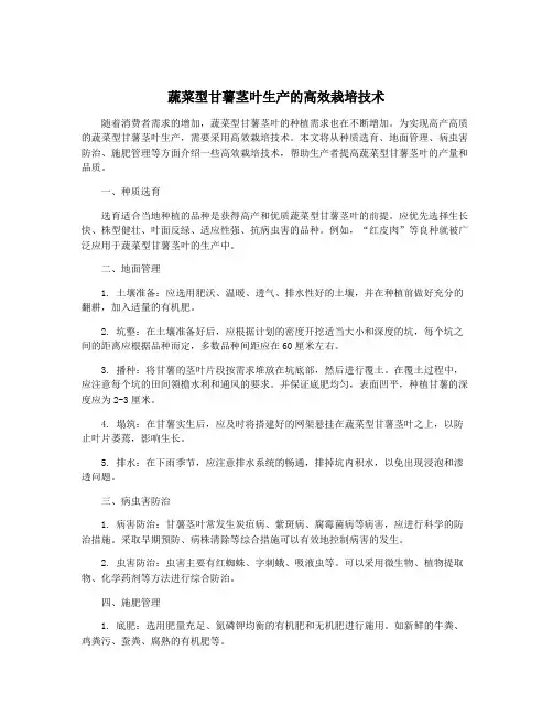 蔬菜型甘薯茎叶生产的高效栽培技术