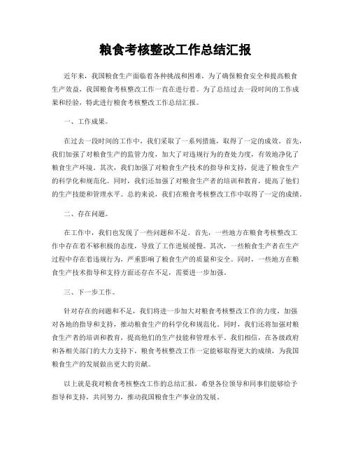 粮食考核整改工作总结汇报