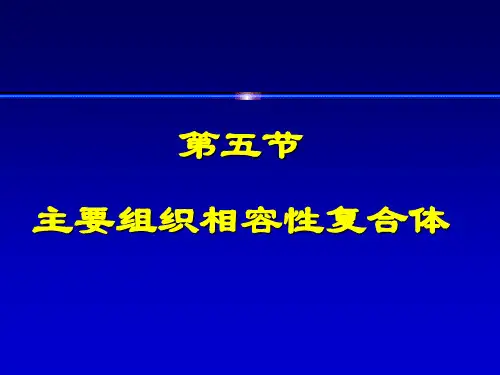 第五节MHCppt课件