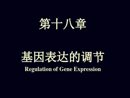 18章基因表达调控 生物化学清晰易学版课件
