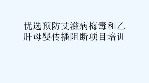 优选预防艾滋病梅毒和乙肝母婴传播阻断项目培训[可修改版ppt]