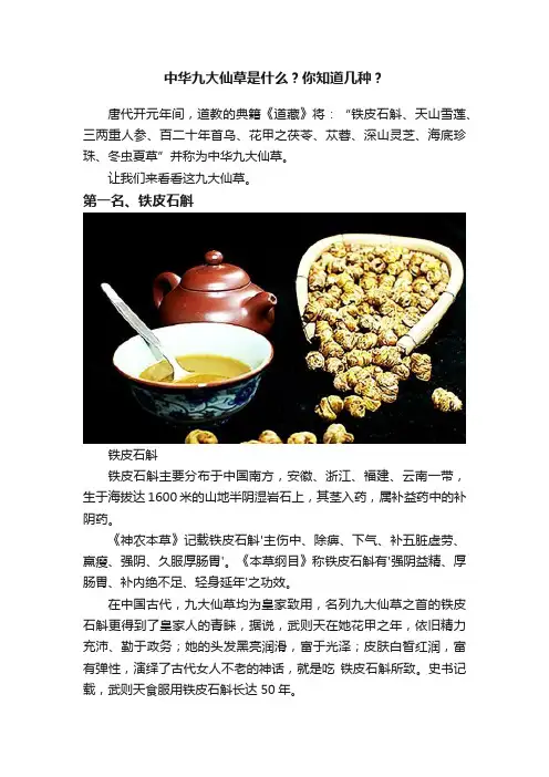 中华九大仙草是什么？你知道几种？