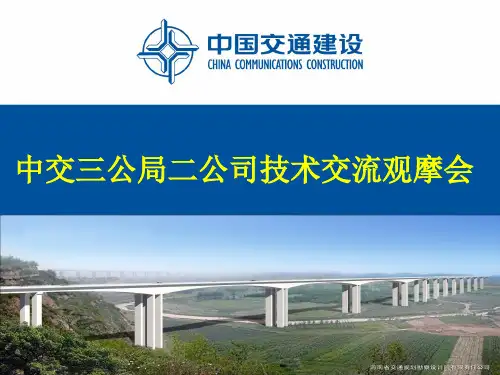 三灵项目弘农涧河特大桥施工方案汇报
