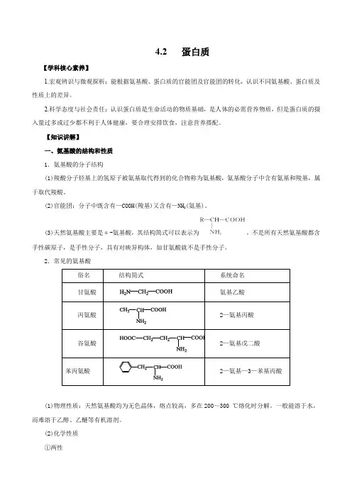 蛋白质(精讲)高二化学精讲精练(人教版2019选择性必修3)(原卷版)