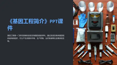 《基因工程简介》课件