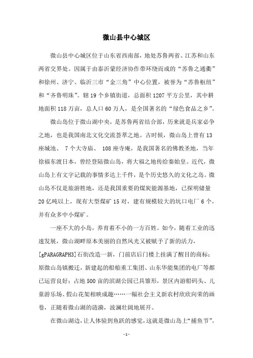 微山县中心城区