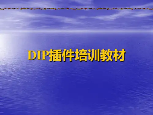 DIP插件培训教材