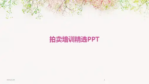 拍卖培训精选PPT(2024)