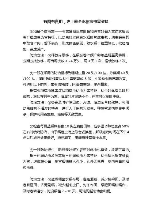 有图有真相，史上最全水稻病虫害资料