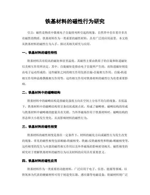 铁基材料的磁性行为研究