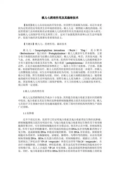 桃儿七药理作用及其栽培技术