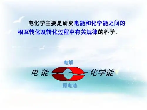 电解质溶液理论