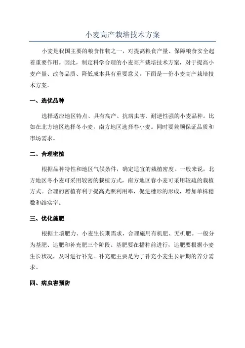 小麦高产栽培技术方案