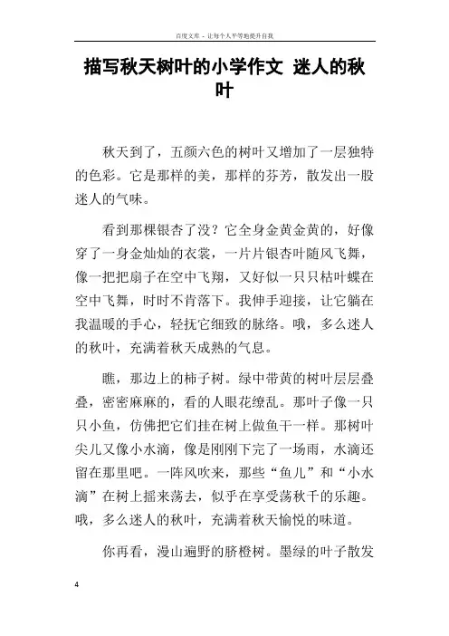 描写秋天树叶的小学作文迷人的秋叶
