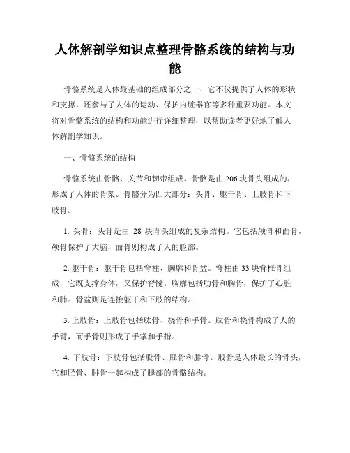 人体解剖学知识点整理骨骼系统的结构与功能