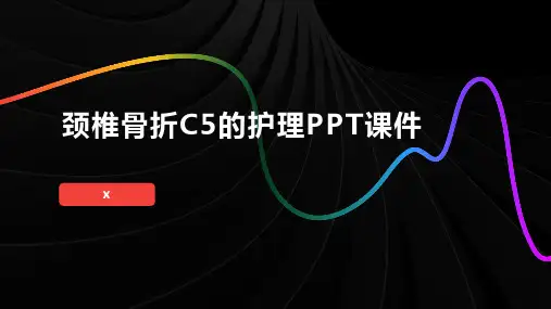 颈椎骨折C5的护理PPT课件