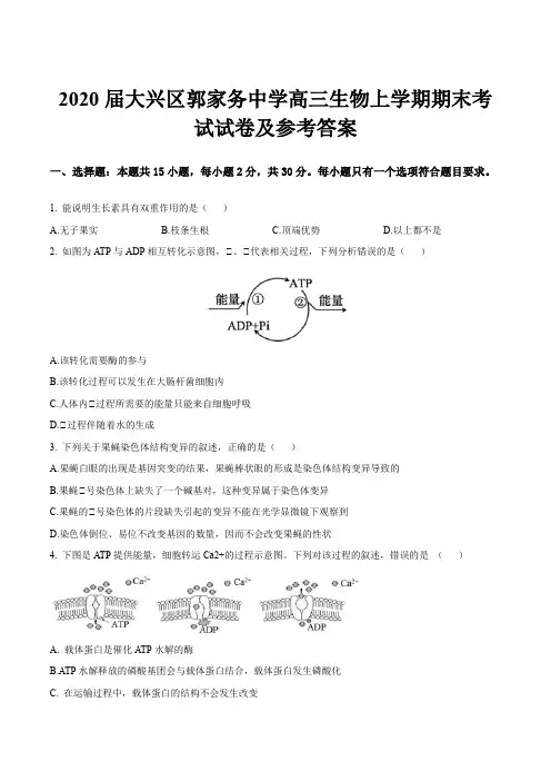 2020届大兴区郭家务中学高三生物上学期期末考试试卷及参考答案