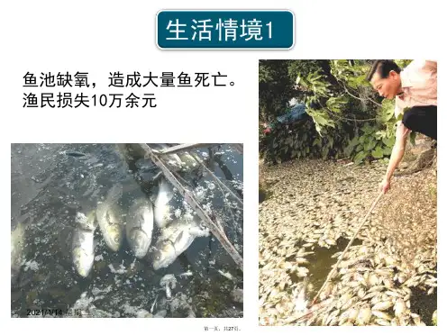 九年级化学上册-制取氧气课件-粤教版