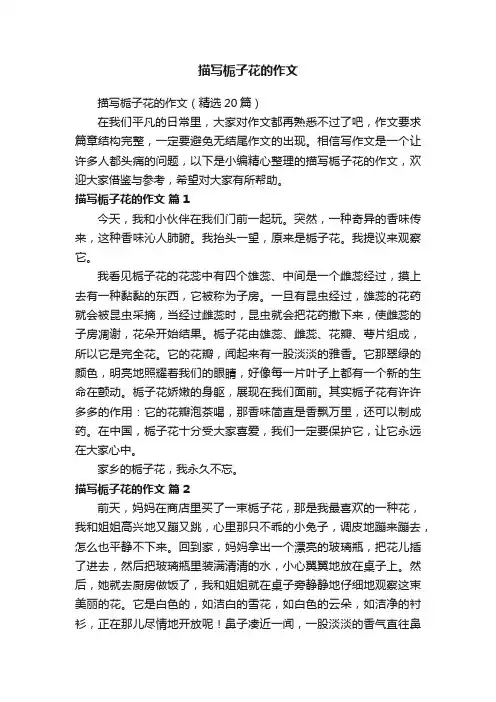 描写栀子花的作文