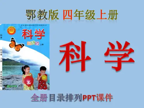 鄂教版,小学,科学,四年级,上册,全册PPT课件,湖北教育出版社-ppt