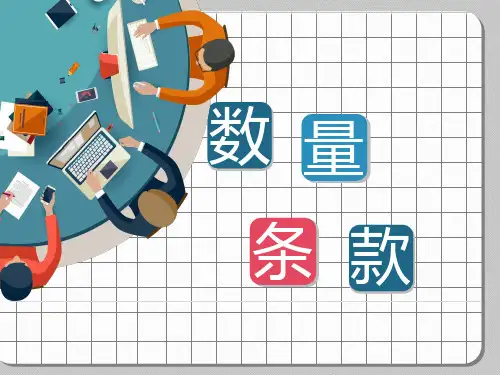 数量条款课件
