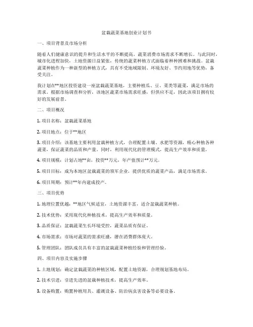 盆栽蔬菜基地创业计划书