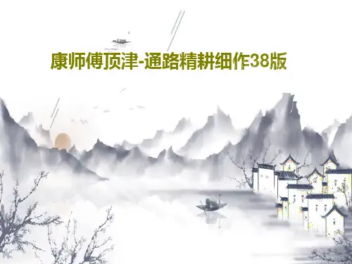 康师傅顶津-通路精耕细作38版共61页