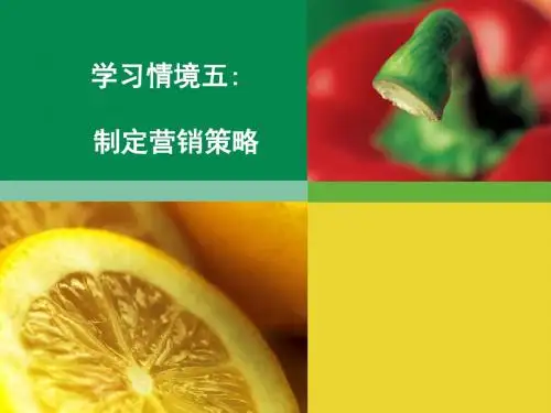任务十二 制定渠道策略