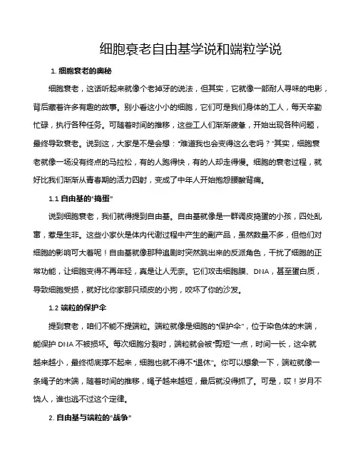 细胞衰老自由基学说和端粒学说