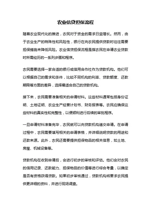 农业信贷担保流程