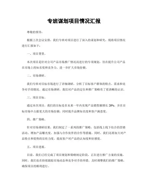 专班谋划项目情况汇报