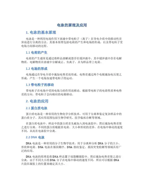 电泳的原理及应用