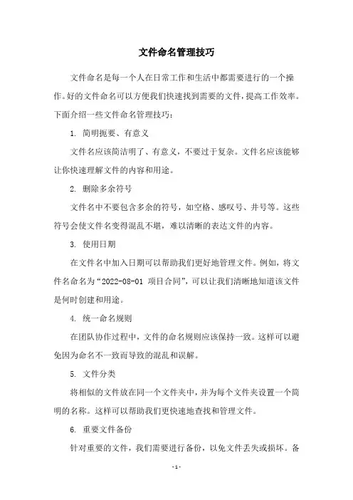 文件命名管理技巧