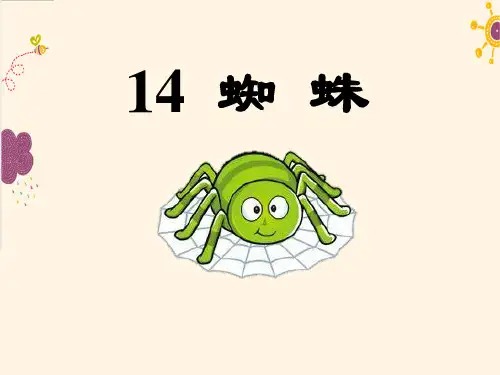 《蜘蛛》PPT课件